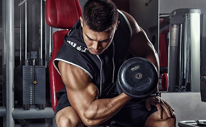 Tipos de fibras musculares y sus características Tipos de fibras musculares y sus características